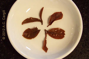 Tea_Blog_TT-CastletonMoonlight2F2012B2a