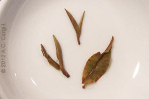 Tea_Blog_TT-TzmSFTGFOP1CD1F2012E2a