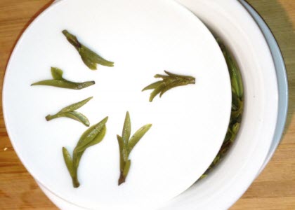 2012 Imperial Huoshan Huangya Yellow Tea (vendor photo used with permission)