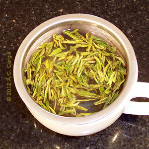 Huoshan Huangya shoots turning bright yellow as they steep. (source: A.C. Cargill, all rights reserved)