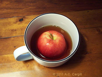 Tea_Blog_Tea-Flvrng002