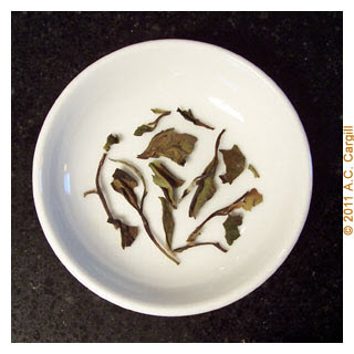 Tea_Blog_ETS-PMTWht-dry