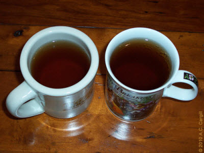 (photo by A.C. Cargill, all rights reserved)