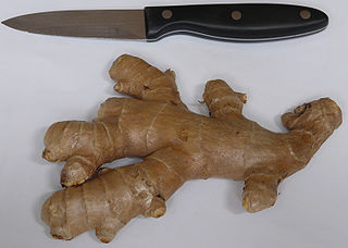 Fresh ginger rhizome. (Wikipedia)