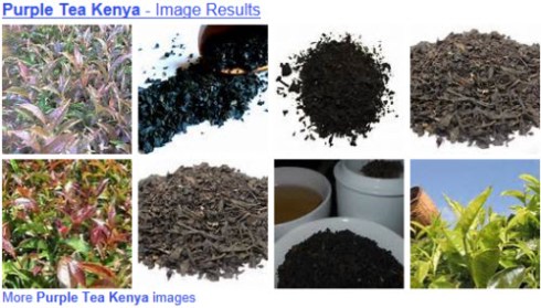 Purple tea of Kenya (Yahoo! Images)