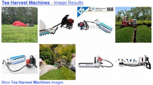 Tea harvest machines from Yahoo! Images