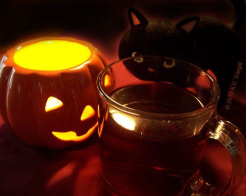 Okay, so it’s more cute than scary! (Photo by A.C. Cargill, all rights reserved)