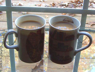 Sometimes it takes 2 cuppas in the morning! (Photo by A.C. Cargill, all rights reserved)