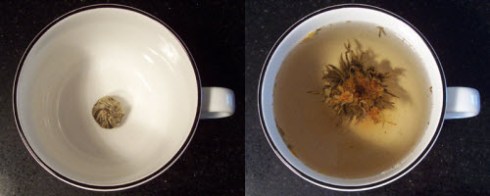 (Photo by A.C. Cargill, all rights reserved)