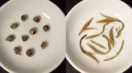 (Photo by A.C. Cargill, all rights reserved)