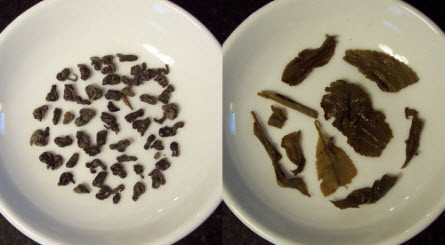 (Photo by A.C. Cargill, all rights reserved)