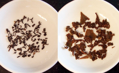 (Photo by A.C. Cargill, all rights reserved)