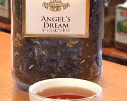 Angels Dream video still. (ETS image)