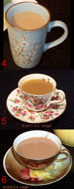 (Photo by A.C. Cargill, all rights reserved)