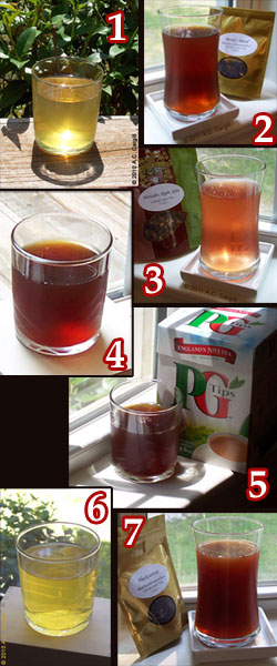 7 chilled teas that you might want to try (Photo by A.C. Cargill, all rights reserved)