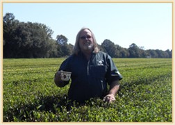 Bill Hall of Charleston Tea Plantation