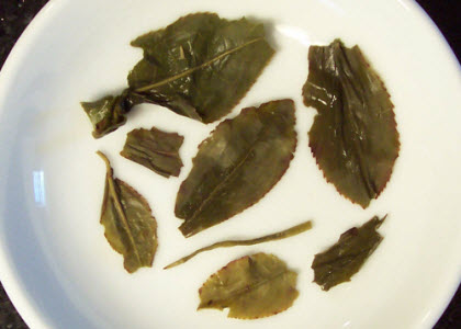 Spring Pouchong is a treat for all your senses! (Photo by A.C. Cargill, all rights reserved)