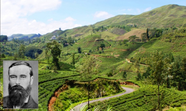 Ceylon Tea Garden and James Taylor