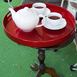 Braving the outdoors for tea time! (Photo by A.C. Cargill, all rights reserved)