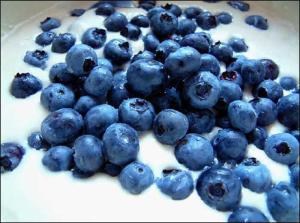 blueberry-sweet-fruit