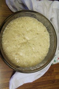 © Julia Briggs for use by ETS, all rights reserved