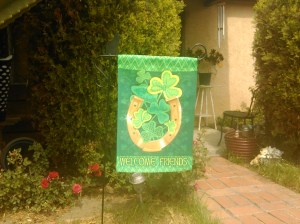 IMG_20150310_141024_498