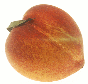 peach