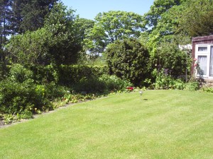 SAMSUNG DIGIMAX A403