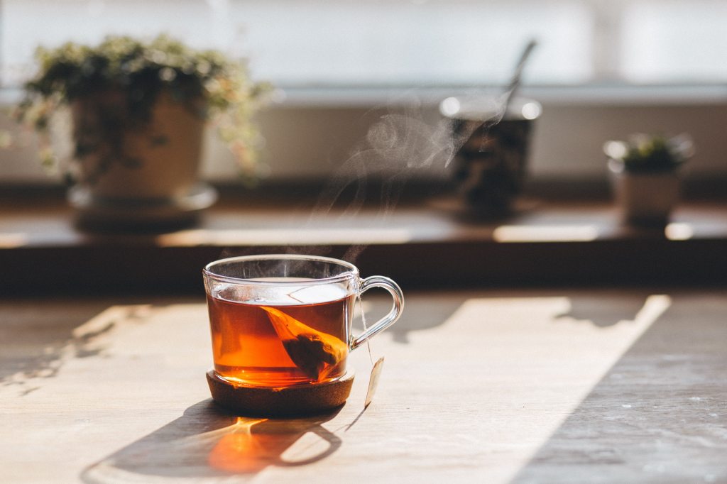 Tea Facts You Won’t Believe: Rooibos Tea