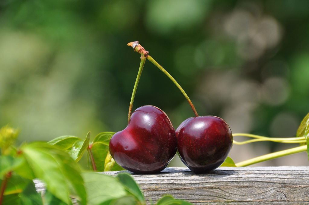 Cherries Are In Season! 🍒
